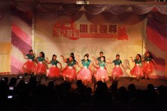 ��������  ��ɷ���