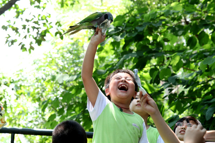 ��һ����(�й�)�ٷ���վ-Bsports