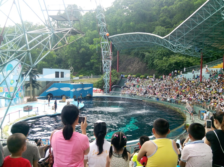 ��һ����(�й�)�ٷ���վ-Bsports