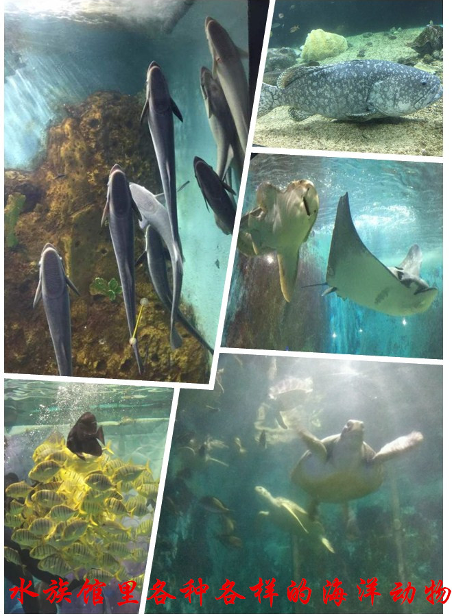 ��һ����(�й�)�ٷ���վ-Bsports