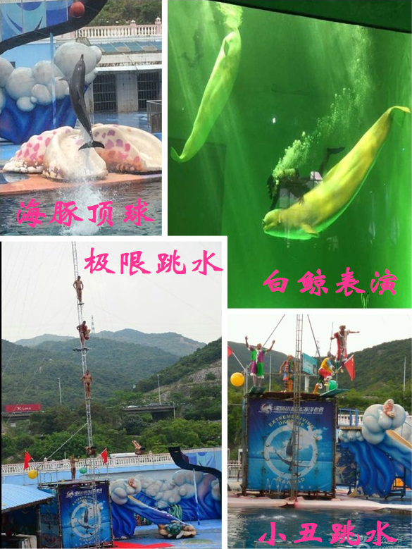 ��һ����(�й�)�ٷ���վ-Bsports