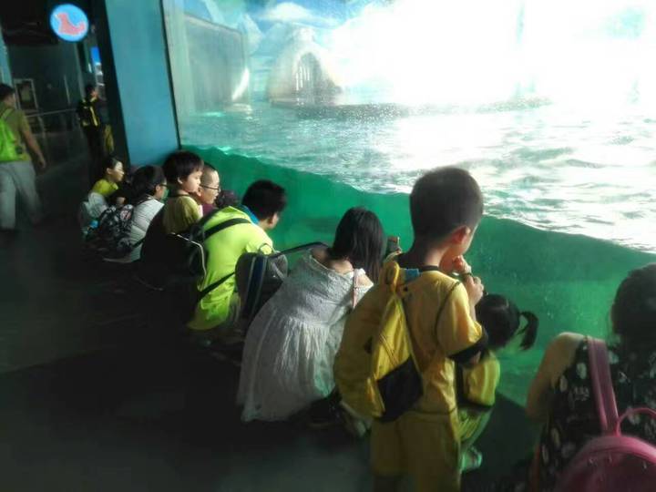 ��һ����(�й�)�ٷ���վ-Bsports