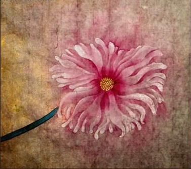 ��һ����(�й�)�ٷ���վ-Bsports