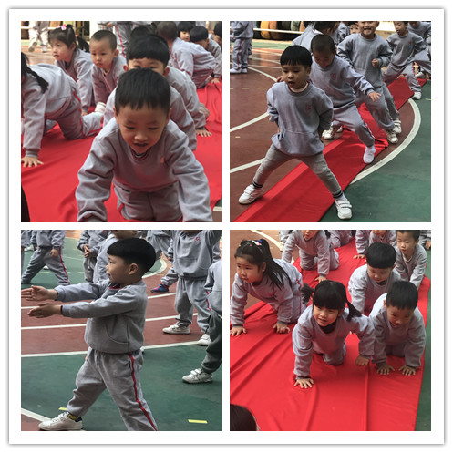 ��һ����(�й�)�ٷ���վ-Bsports