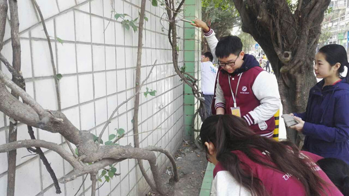 ��һ����(�й�)�ٷ���վ-Bsports