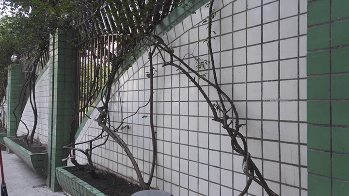 ��һ����(�й�)�ٷ���վ-Bsports