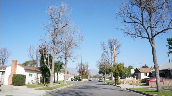 ��һ����(�й�)�ٷ���վ-Bsports