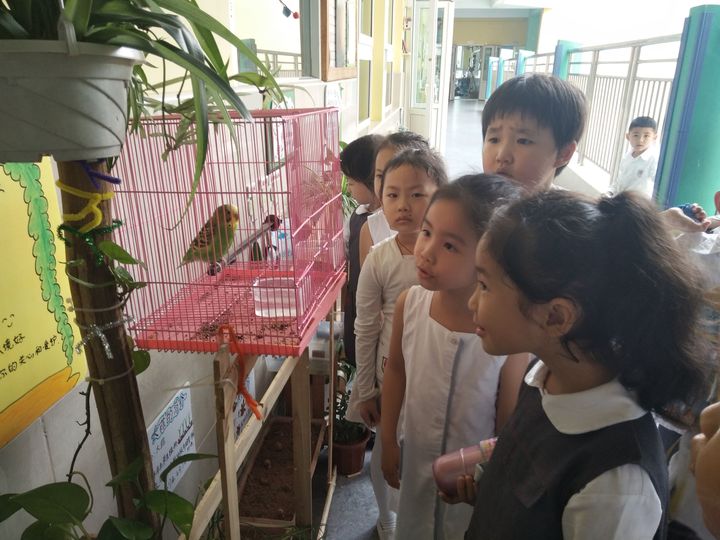 ��һ����(�й�)�ٷ���վ-Bsports