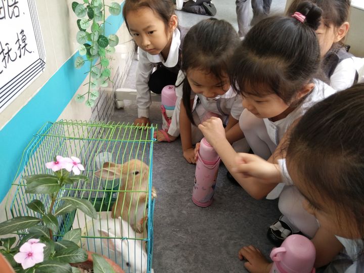 ��һ����(�й�)�ٷ���վ-Bsports