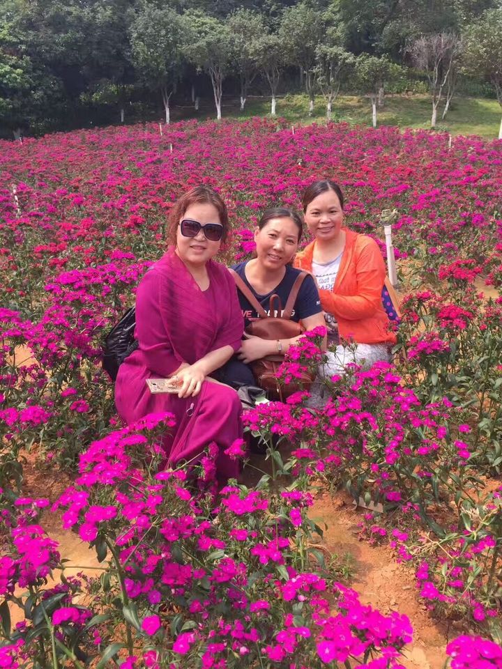 ��һ����(�й�)�ٷ���վ-Bsports