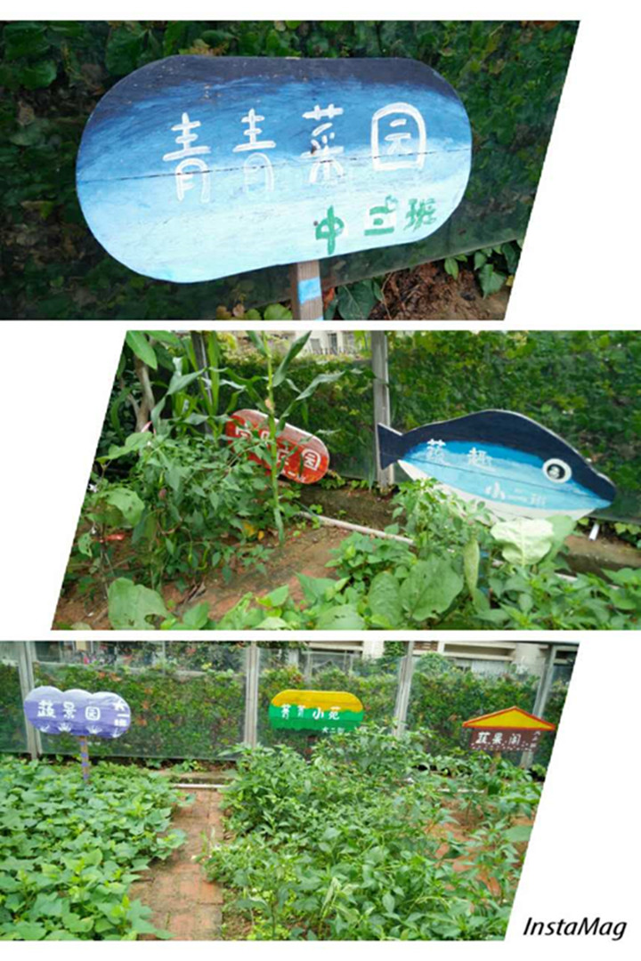 �߲���԰(�аࣩ