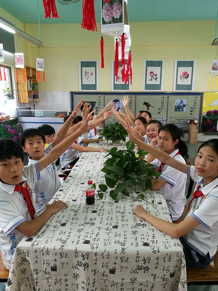 ��һ����(�й�)�ٷ���վ-Bsports