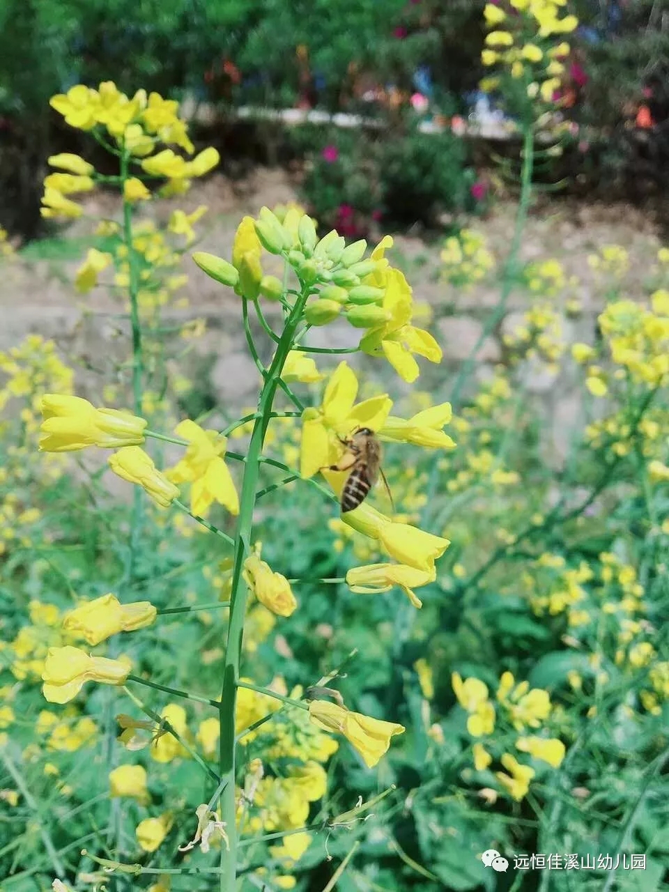 ��һ����(�й�)�ٷ���վ-Bsports