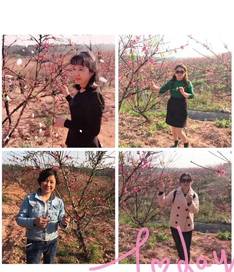 ��һ����(�й�)�ٷ���վ-Bsports