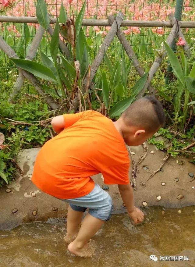 ��һ����(�й�)�ٷ���վ-Bsports