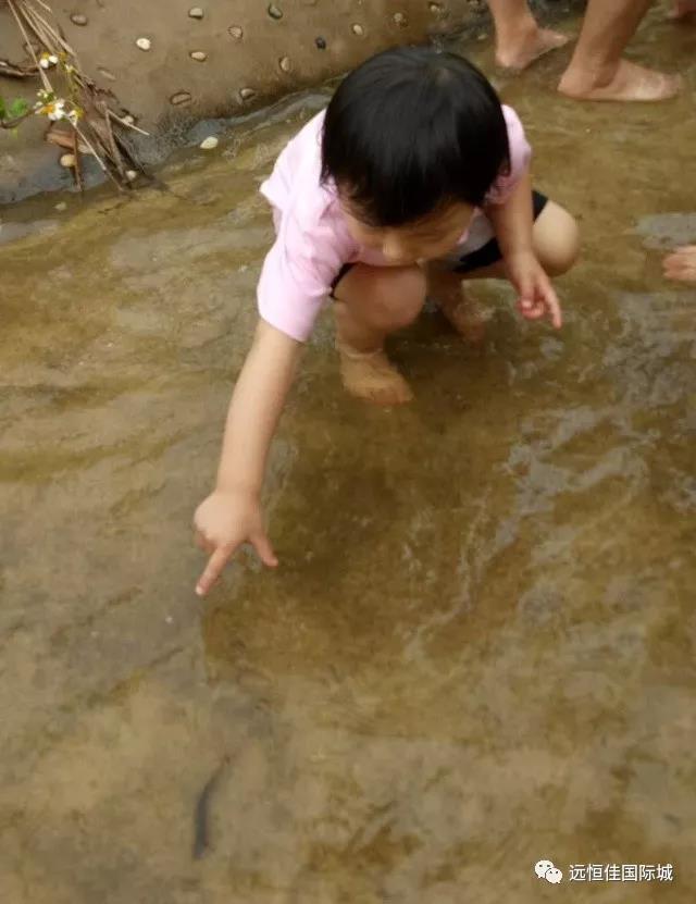 ��һ����(�й�)�ٷ���վ-Bsports