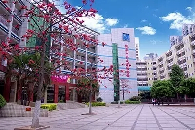 �μ������ʵ��б𡾻�ѧ��