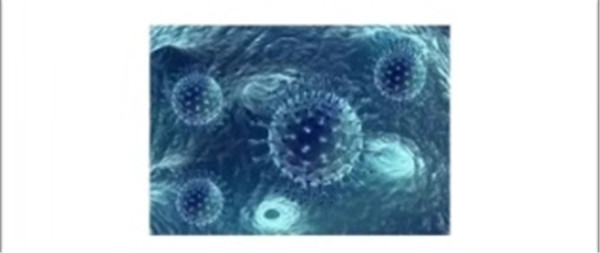 ��һ����(�й�)�ٷ���վ-Bsports