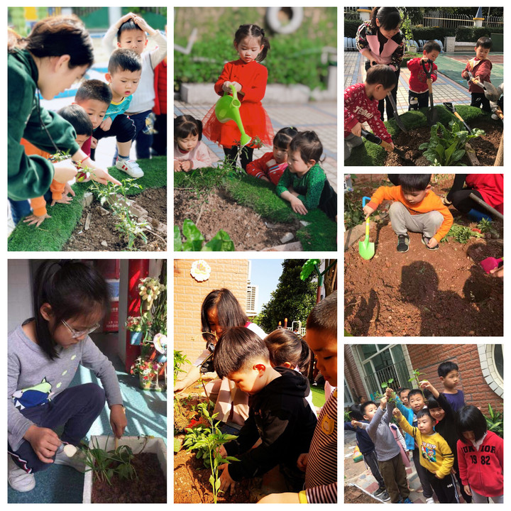 ��һ����(�й�)�ٷ���վ-Bsports