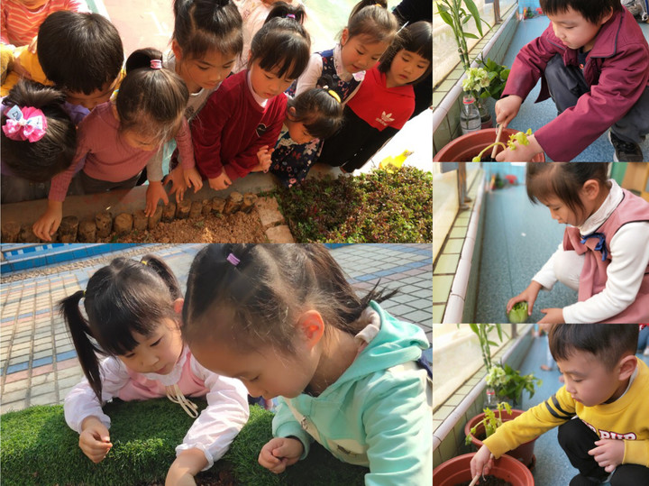 ��һ����(�й�)�ٷ���վ-Bsports