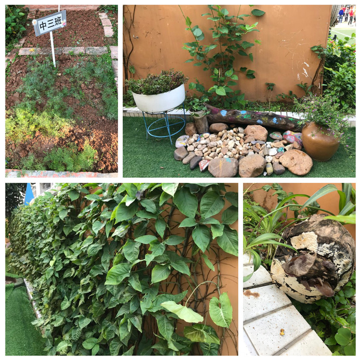 ��һ����(�й�)�ٷ���վ-Bsports