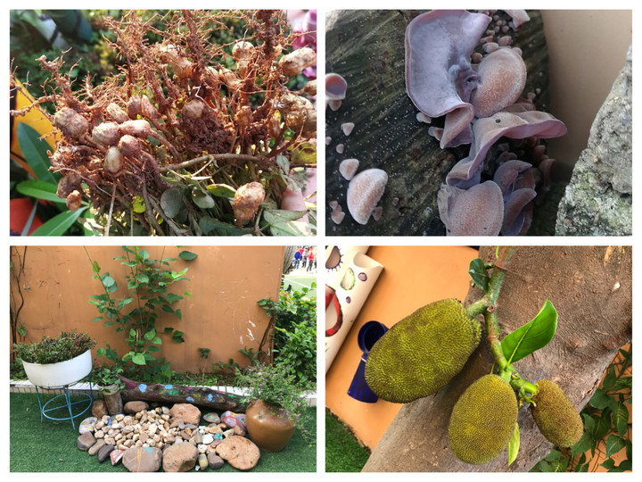 ��һ����(�й�)�ٷ���վ-Bsports