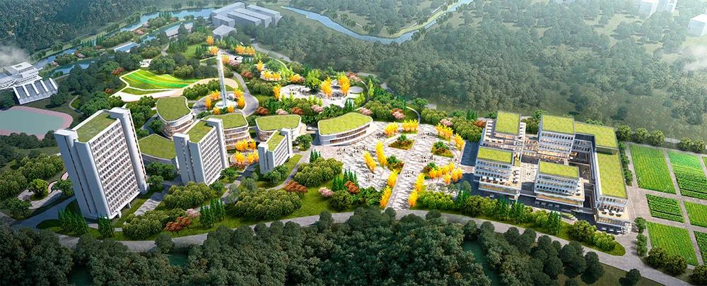 ��һ����(�й�)�ٷ���վ-Bsports