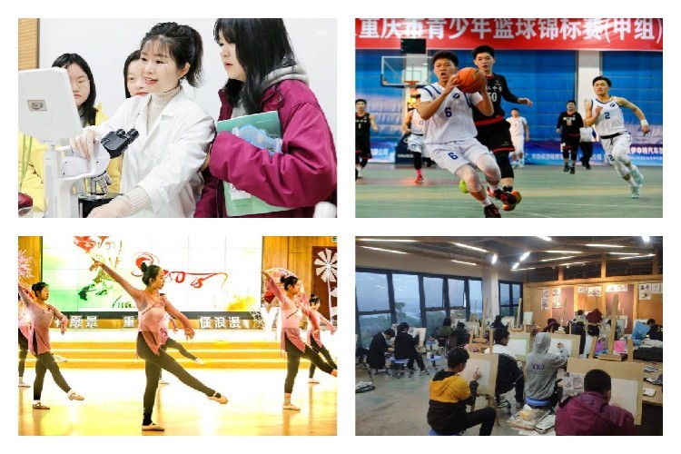 ��һ����(�й�)�ٷ���վ-Bsports