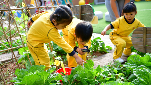 ��һ����(�й�)�ٷ���վ-Bsports