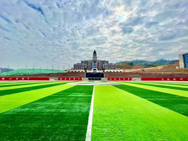 ���ݡ���ǿ�����š���ʮվ�߽����ݱ�һ����ְҵѧԺ��� 