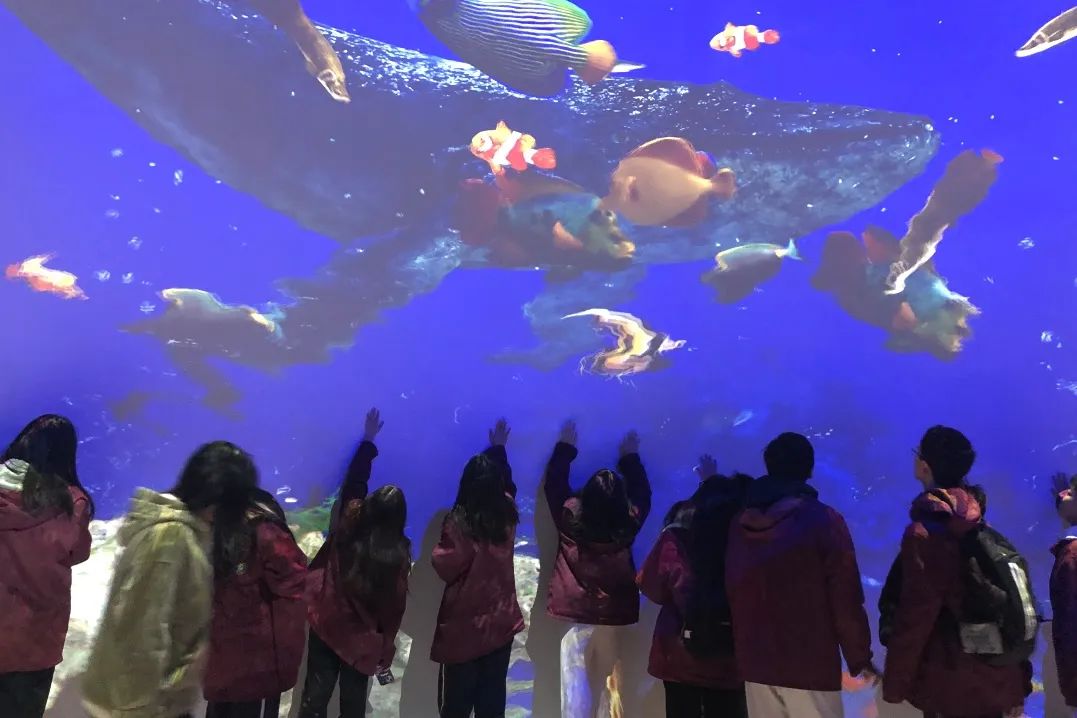 ��һ����(�й�)�ٷ���վ-Bsports